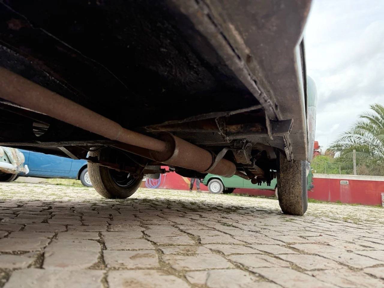 IMG_9886 – grande.jpeg