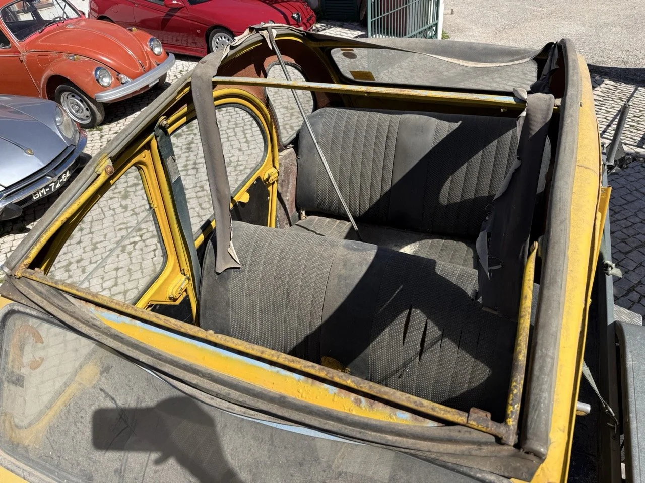 IMG_9101 – grande.jpeg