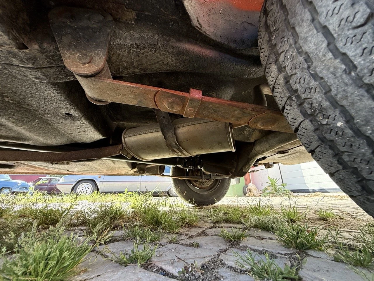 IMG_3662 – grande.jpeg