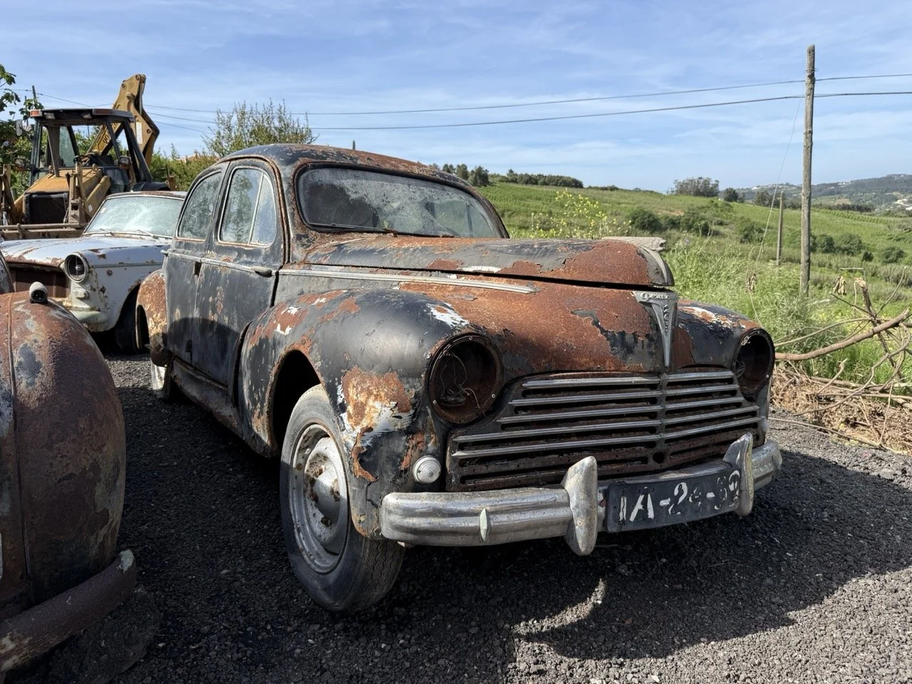 IMG_0386 – grande.jpeg