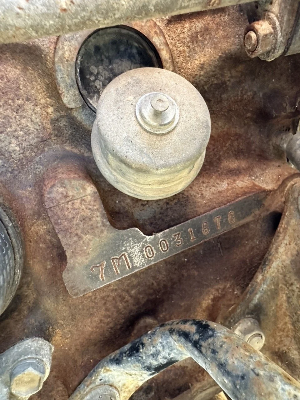 IMG_3086 – grande.jpeg