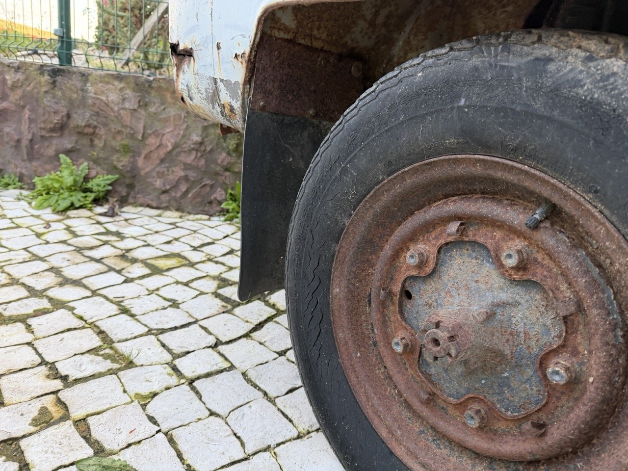 IMG_0862 – grande.jpeg