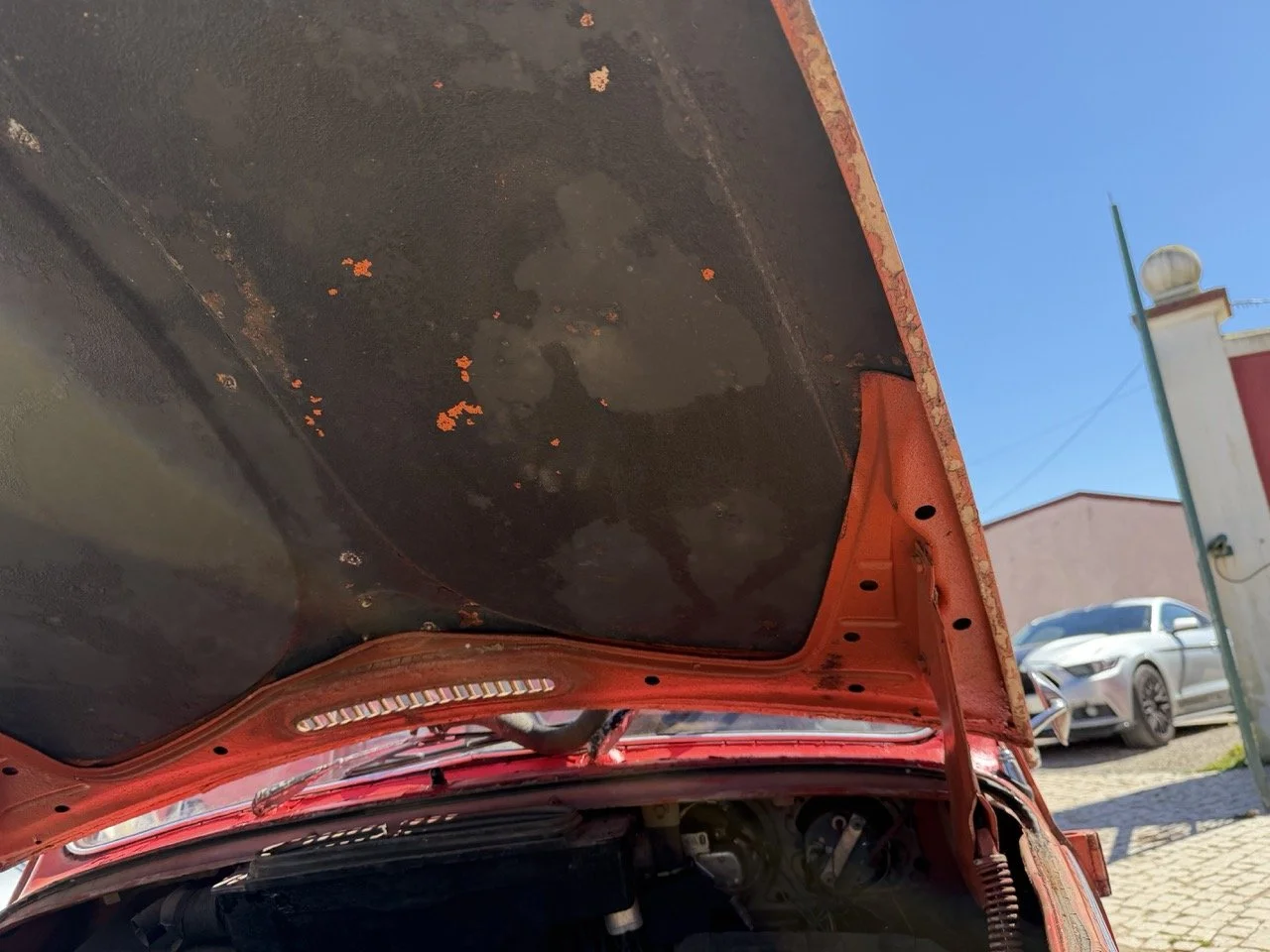 IMG_7567 – grande.jpeg