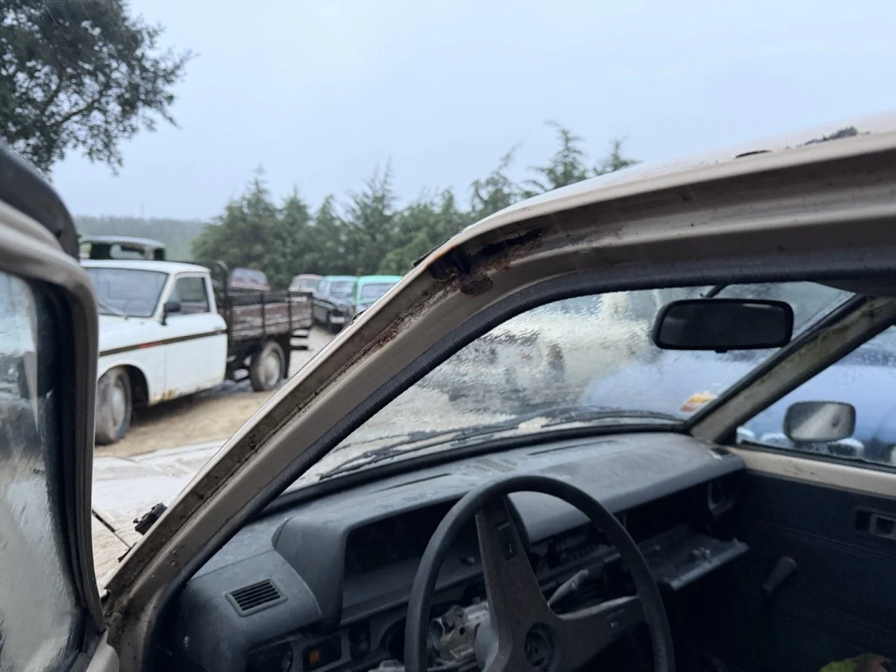 IMG_0236 – grande.jpeg