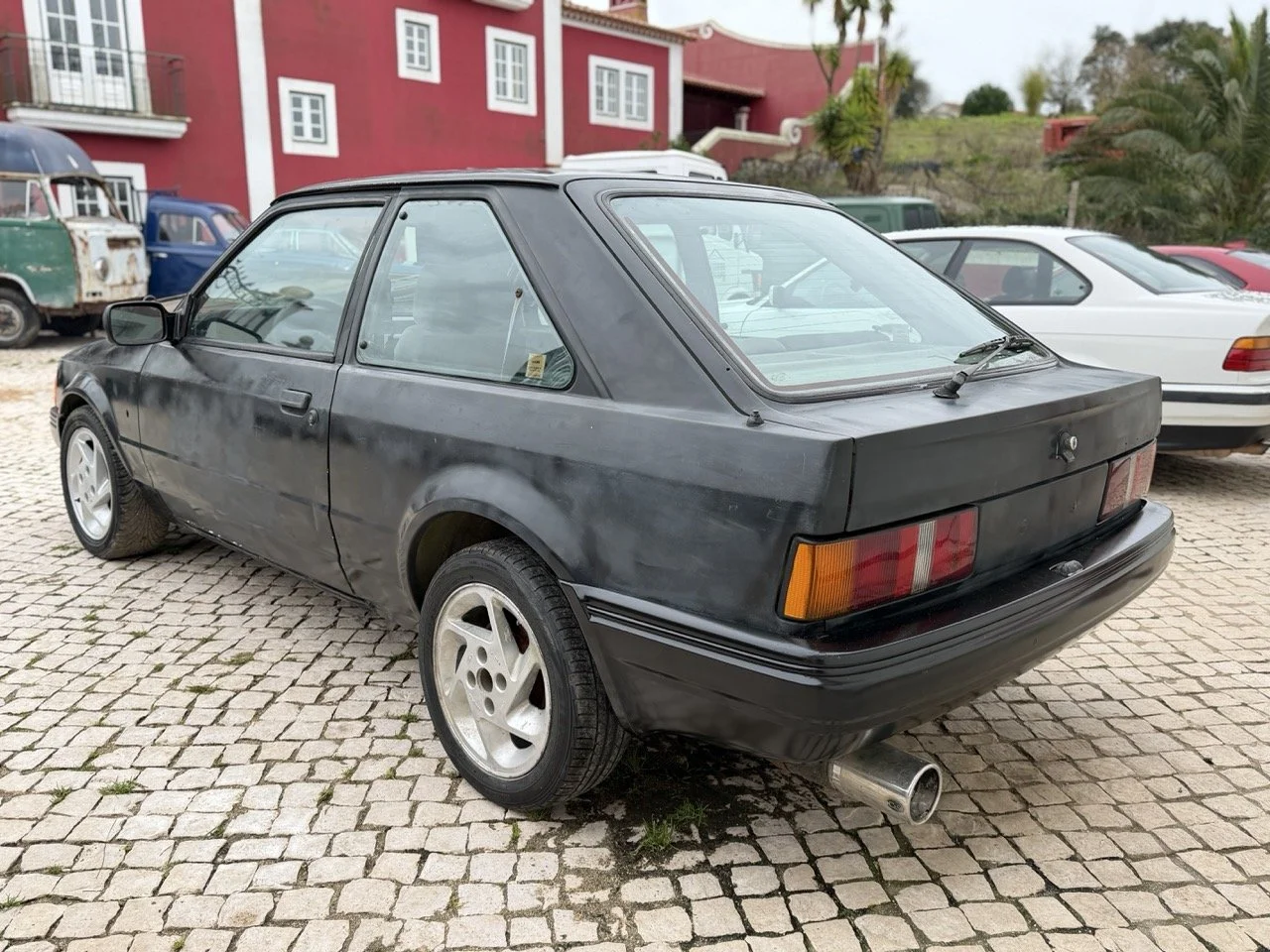 IMG_1257 – grande.jpeg