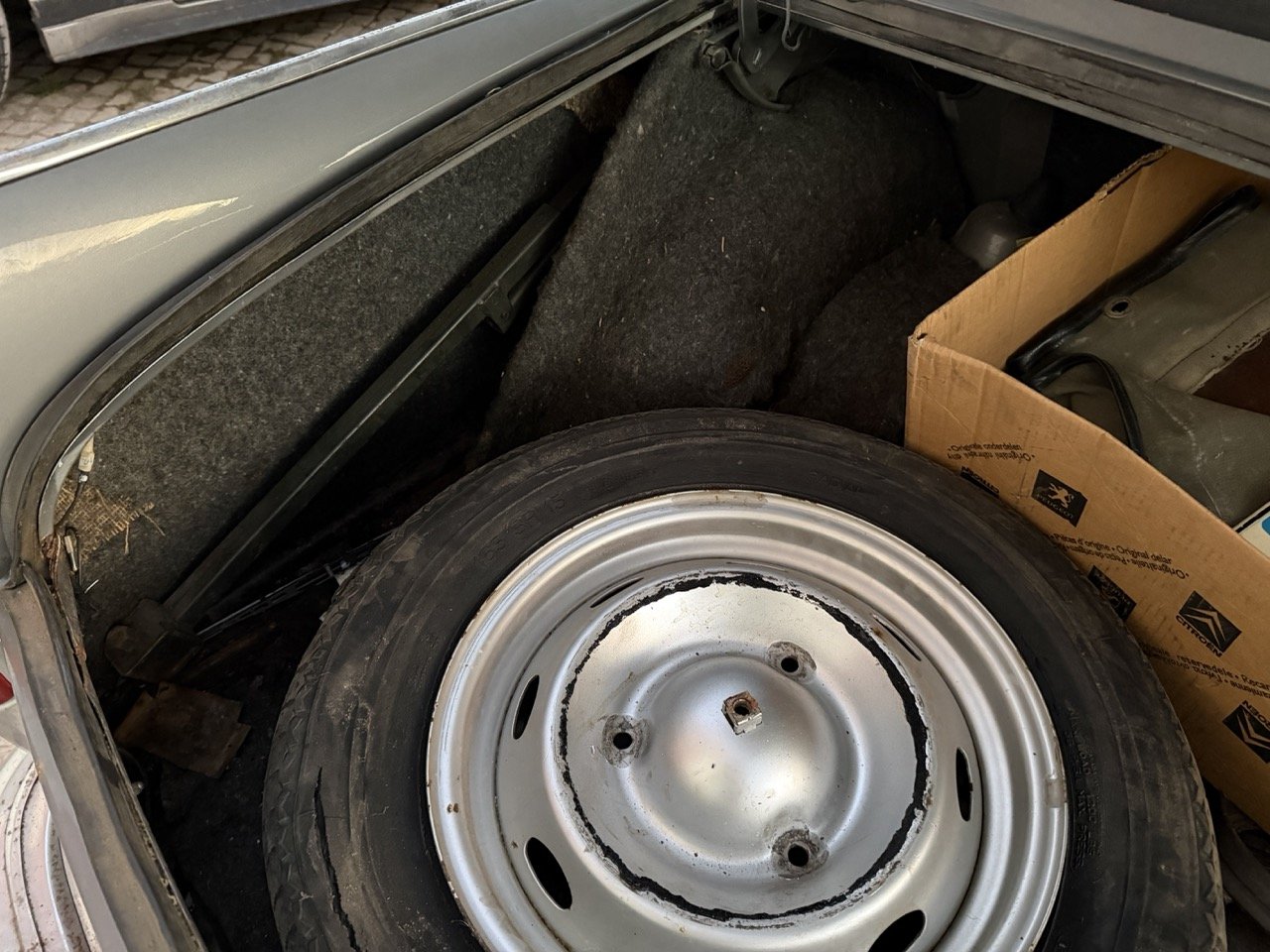 IMG_7525 – grande.jpeg