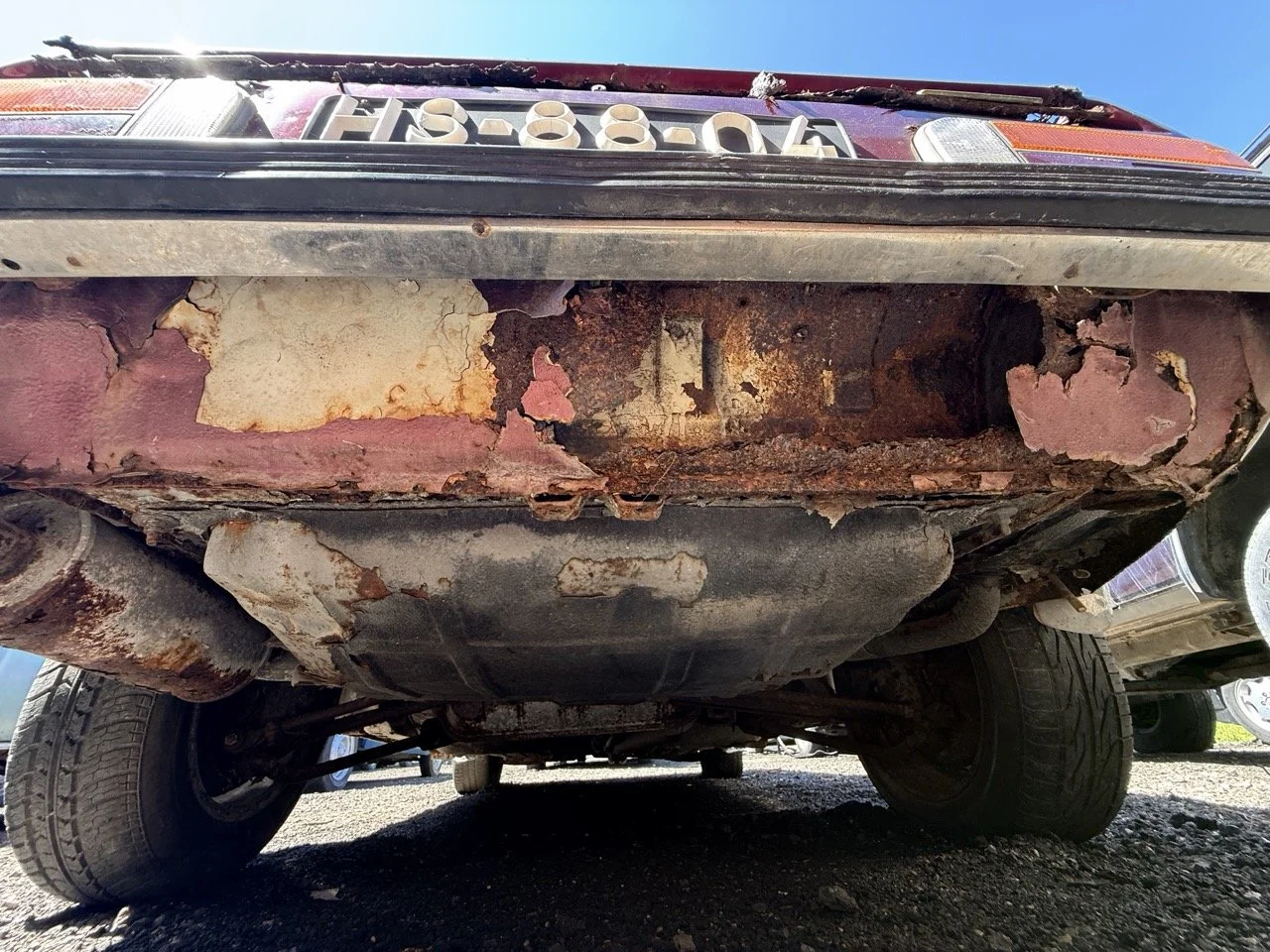 IMG_0967 – grande.jpeg