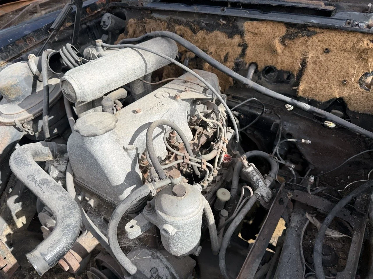 IMG_5252 – grande.jpeg