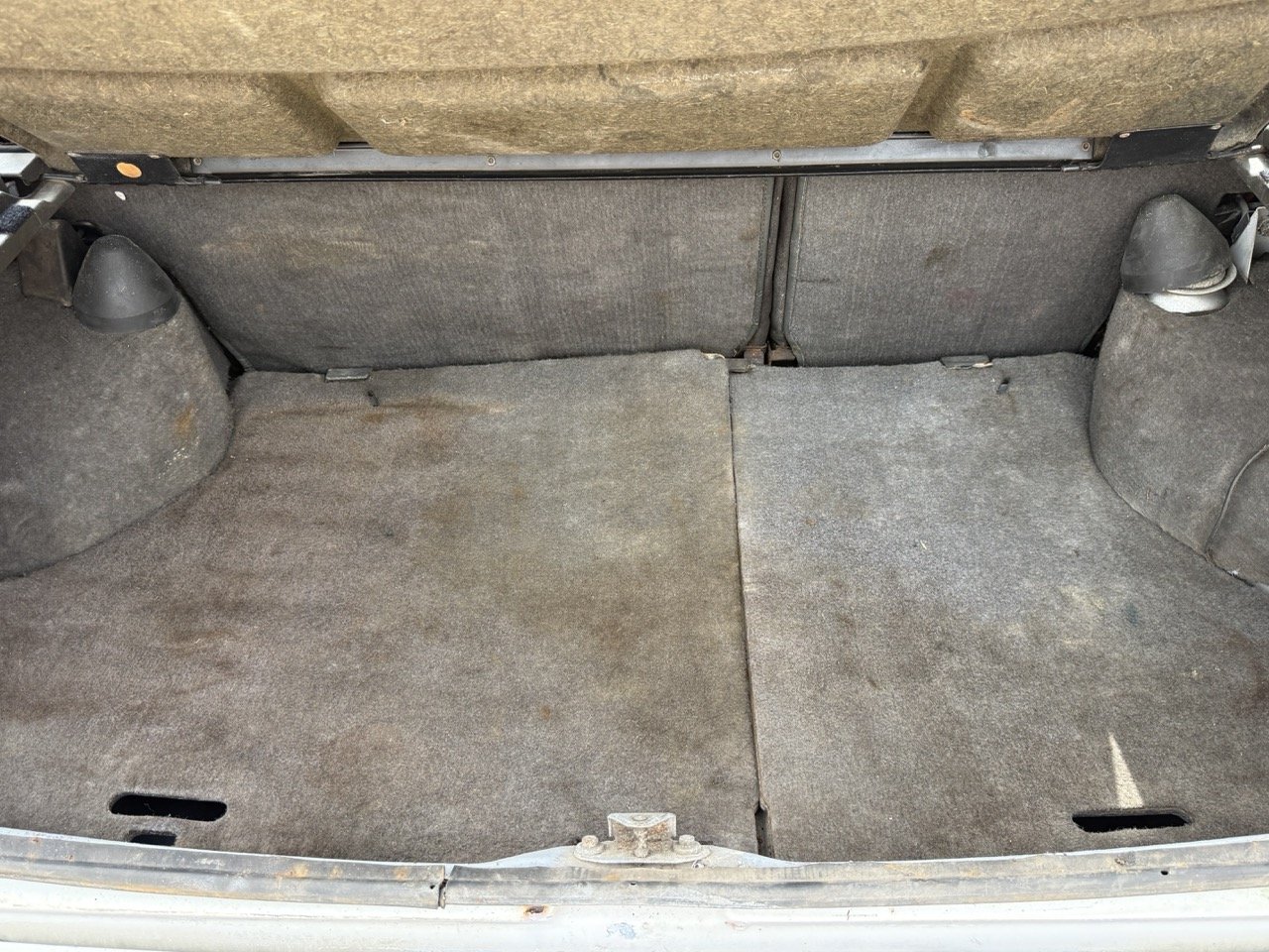 IMG_8578 – grande.jpeg