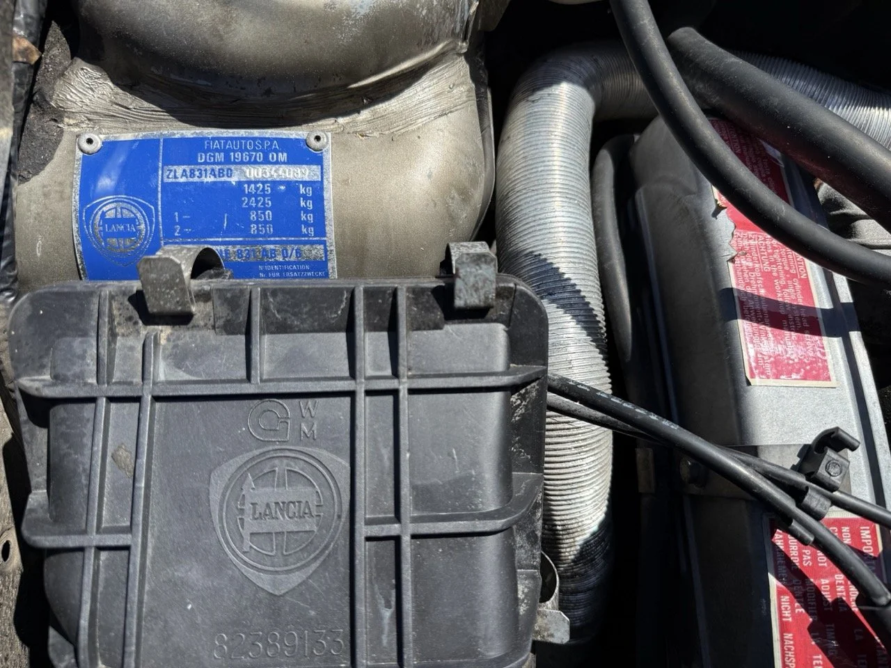 IMG_1897 – grande.jpeg