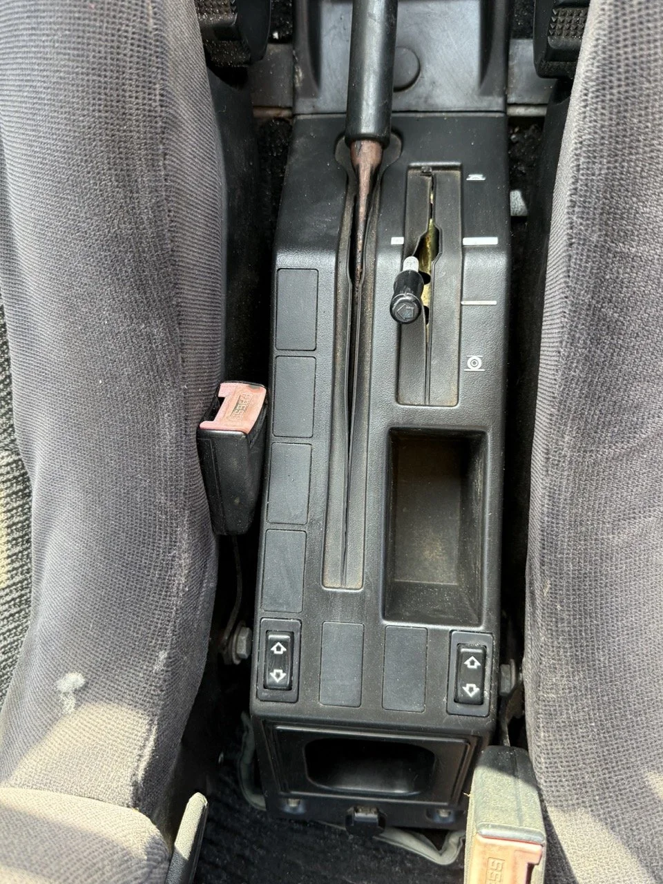 IMG_2609 – grande.jpeg