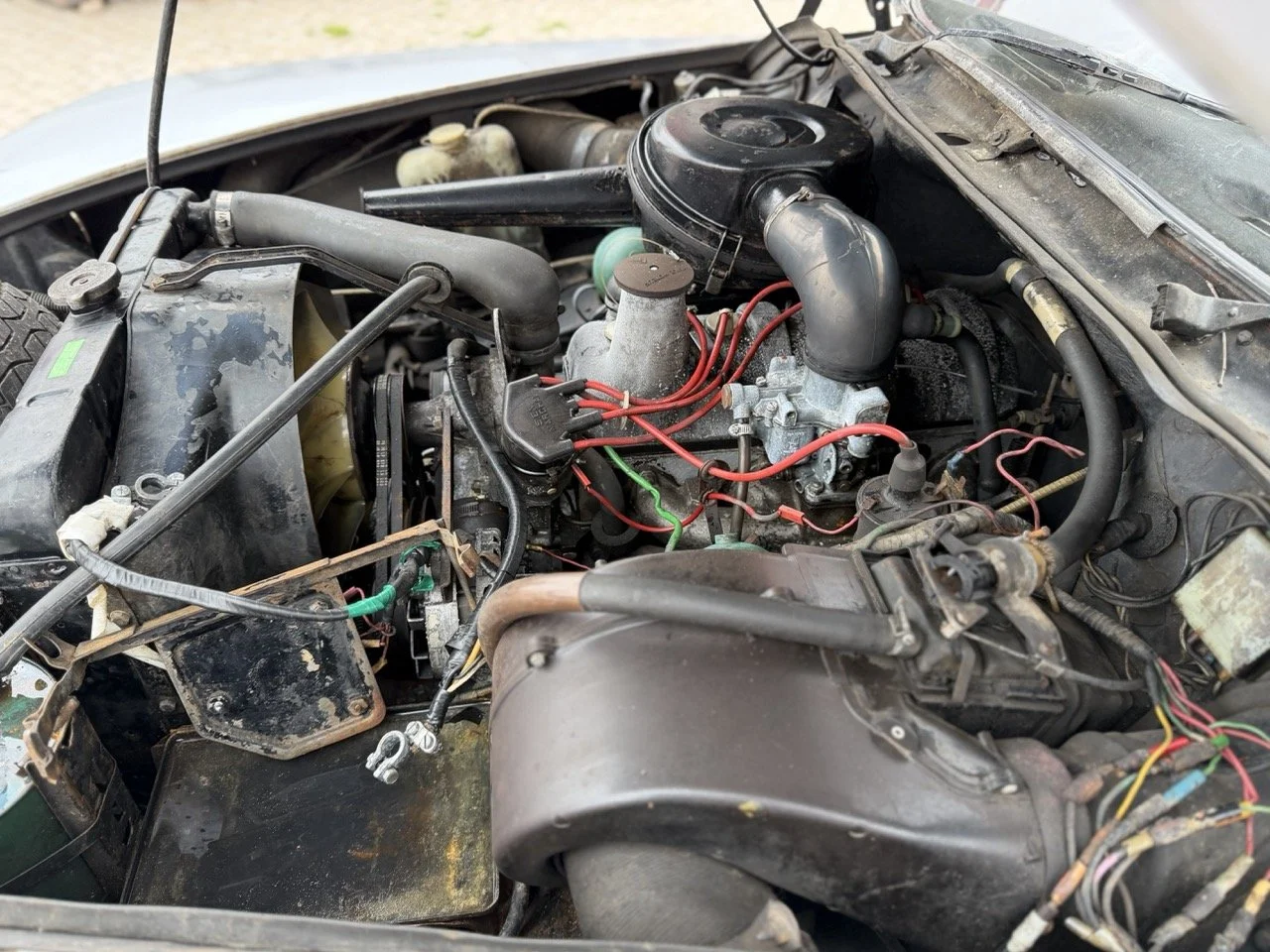 IMG_3731 – grande.jpeg