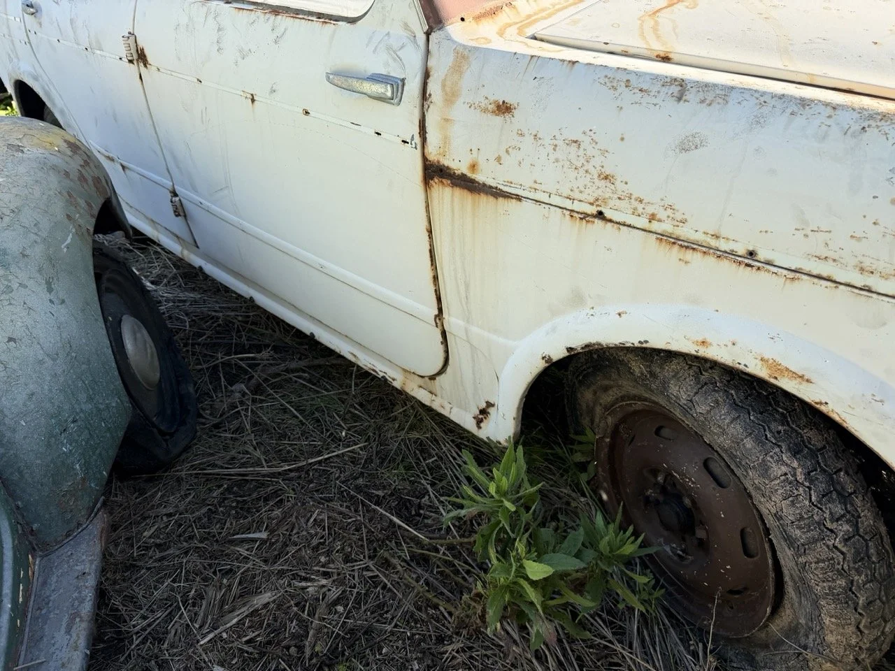 IMG_2529 – grande.jpeg