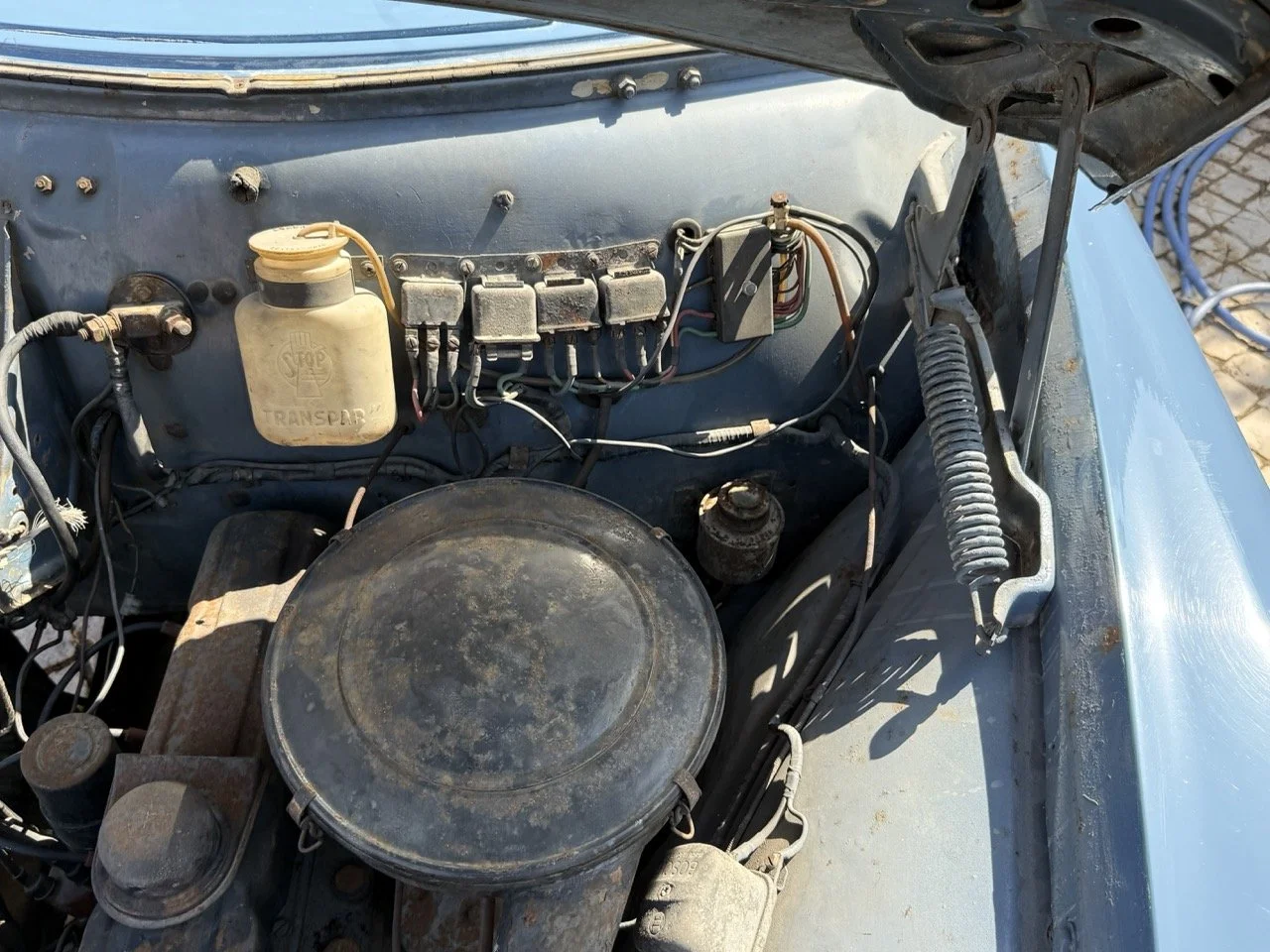 IMG_3519 – grande.jpeg