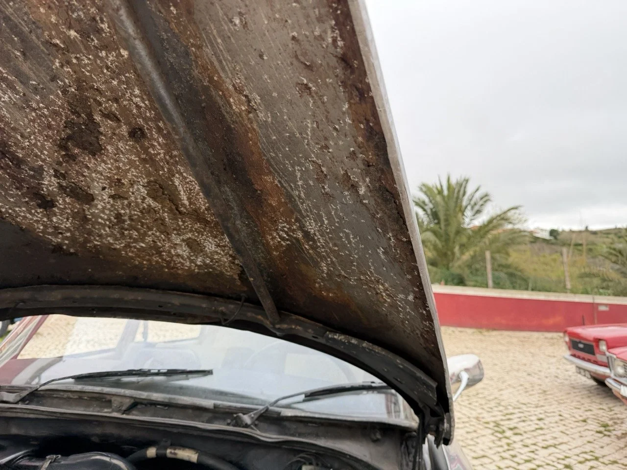 IMG_3742 – grande.jpeg