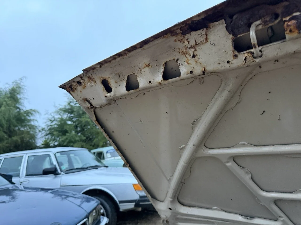 IMG_0254 – grande.jpeg