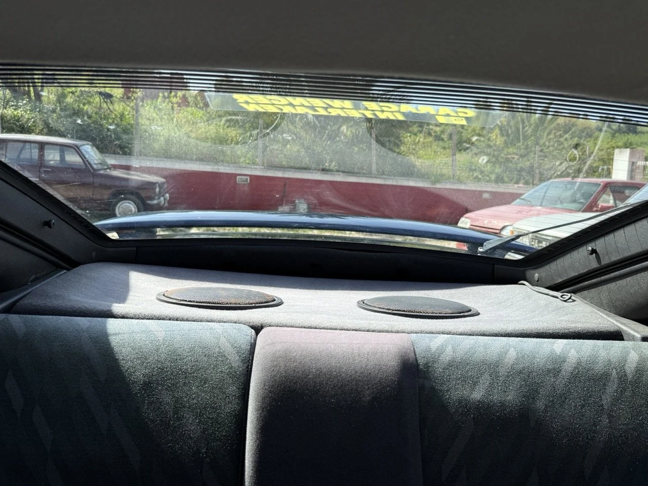 IMG_2453 – grande.jpeg