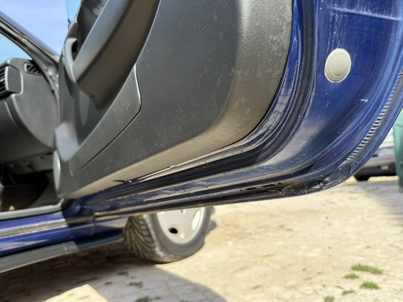 IMG_2459 – grande.jpeg