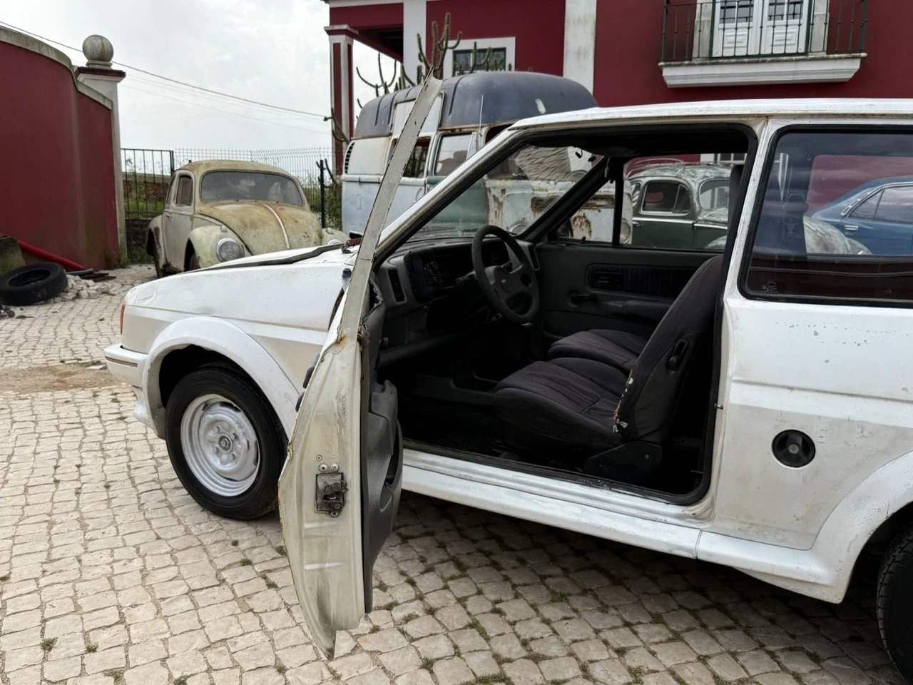 IMG_8526 – grande.jpeg