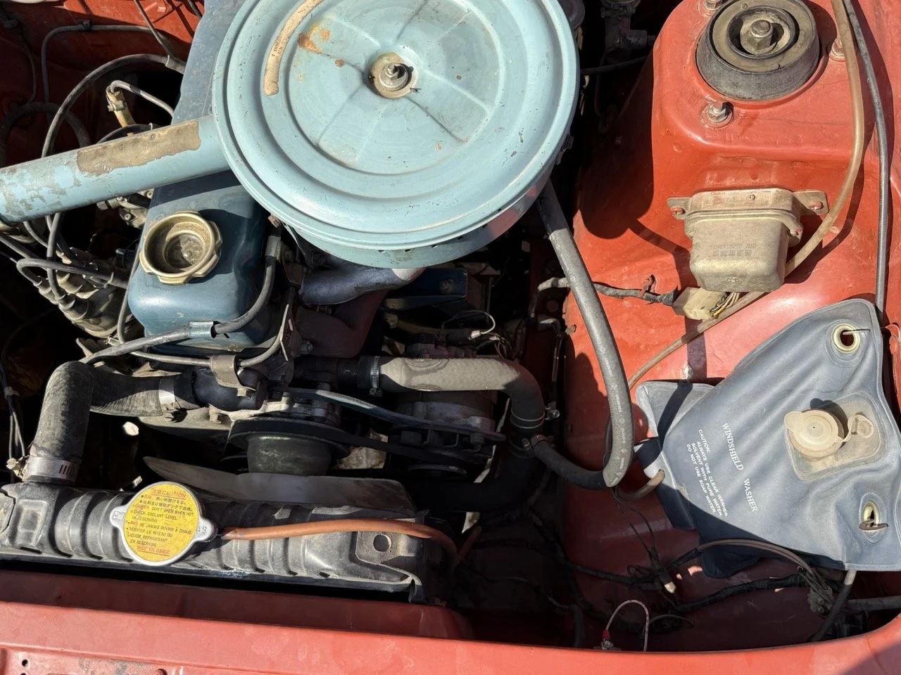 IMG_3617 – grande.jpeg