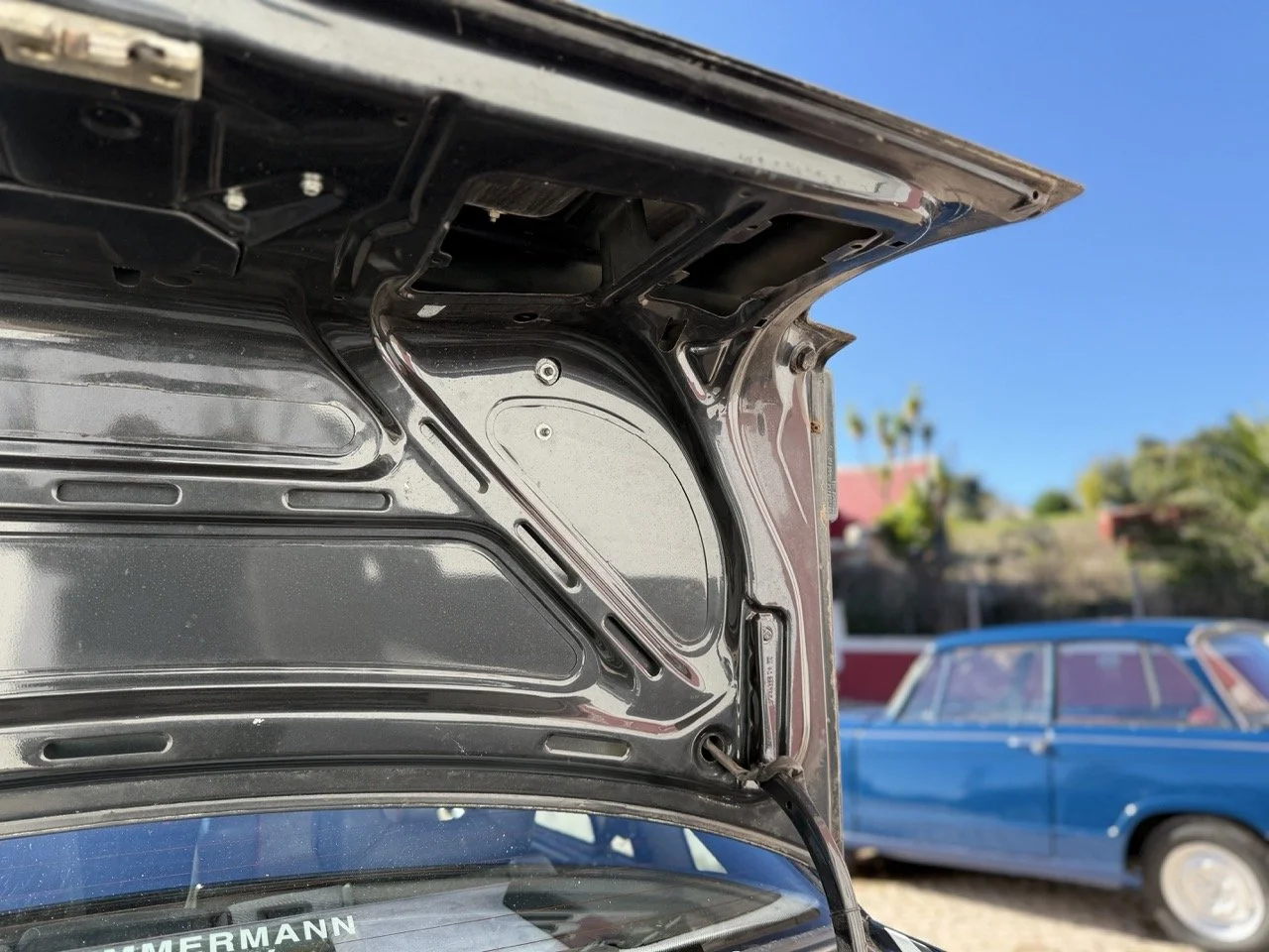 IMG_2739 – grande.jpeg