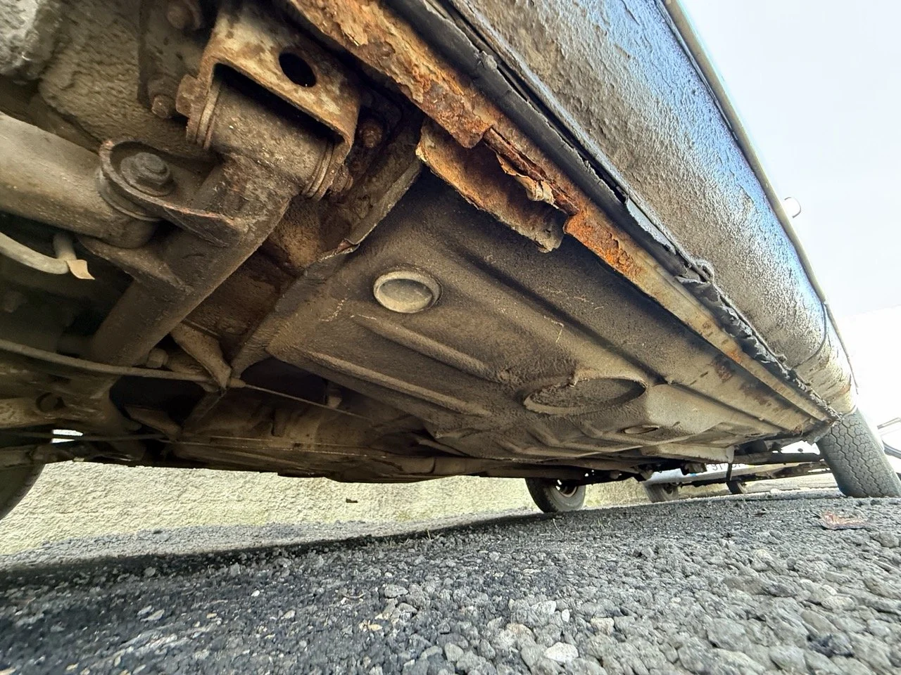 IMG_0627 – grande.jpeg