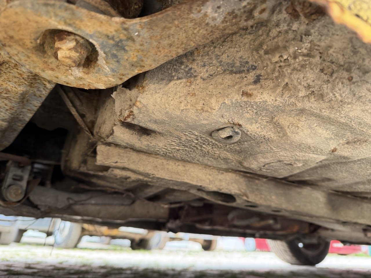 IMG_9808 – grande.jpeg