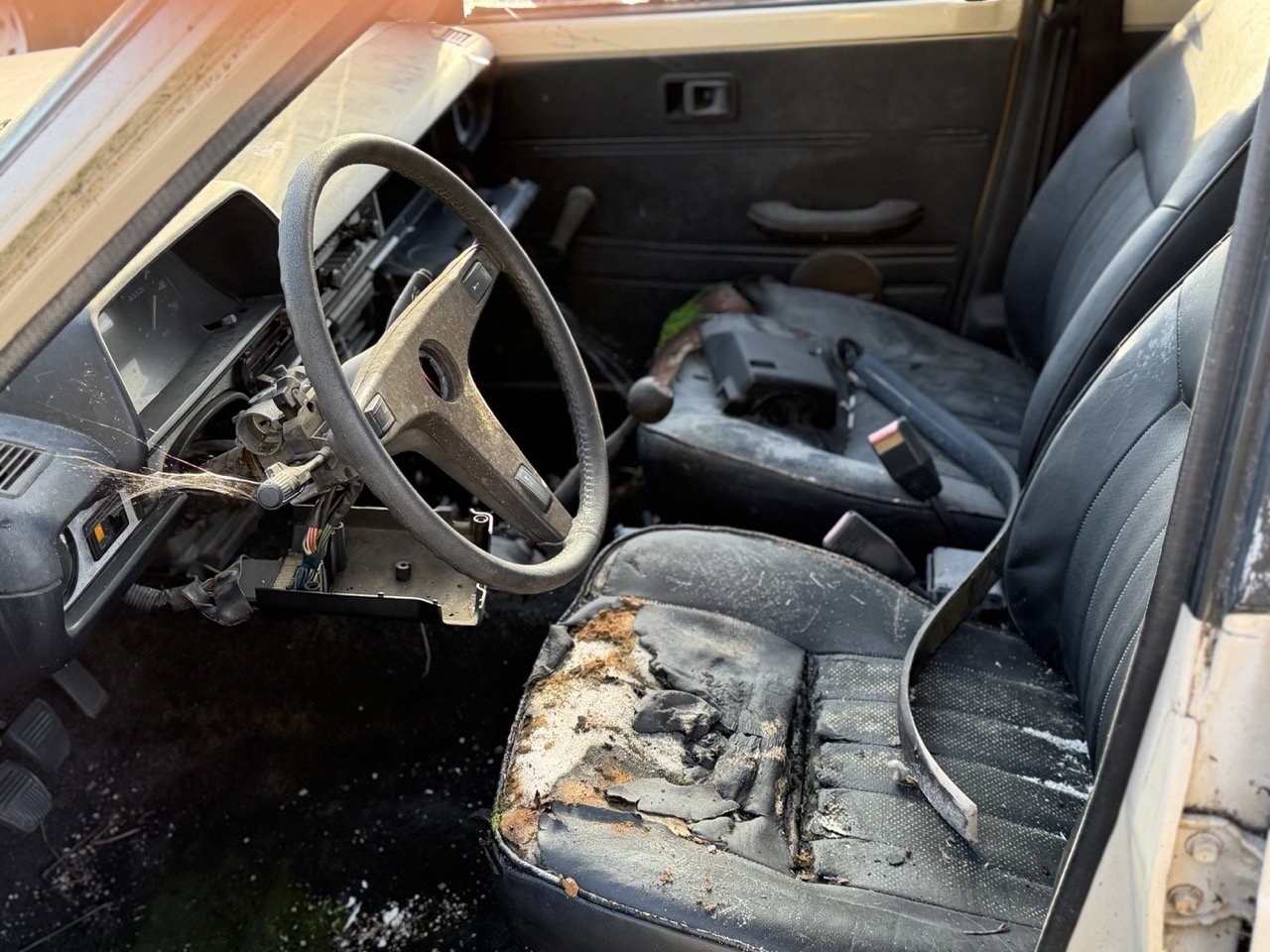 IMG_4029 – grande.jpeg