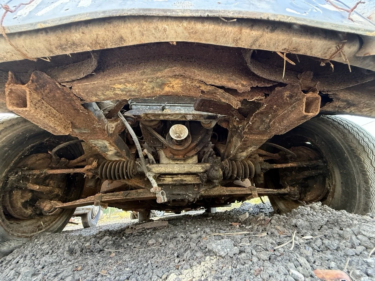 IMG_0421 – grande.jpeg