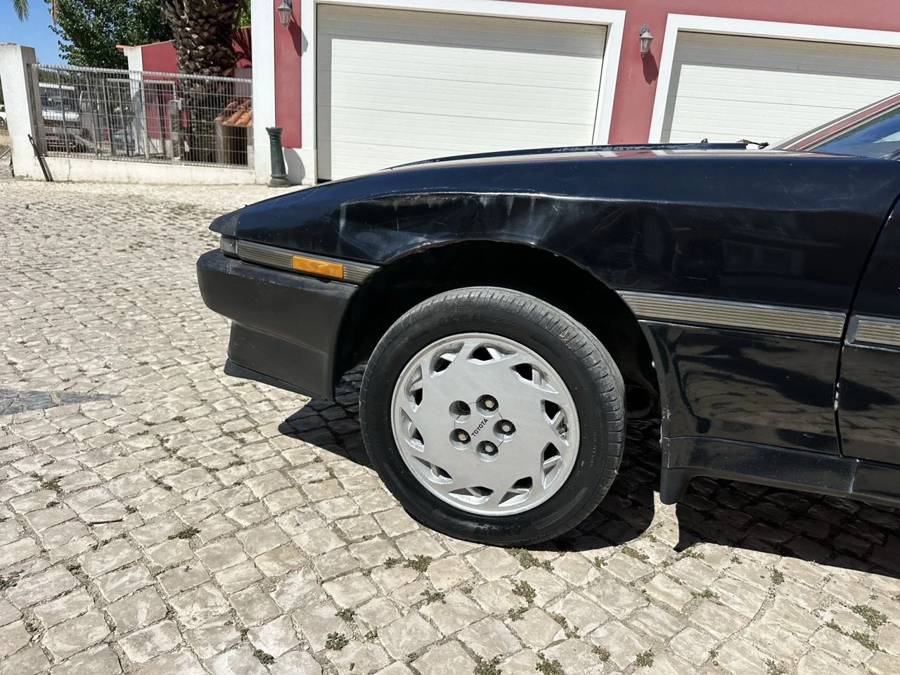 IMG_3173 – grande.jpeg