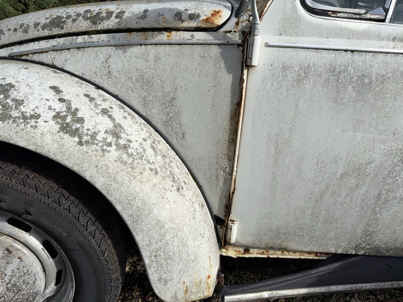 IMG_8592 – grande.jpeg