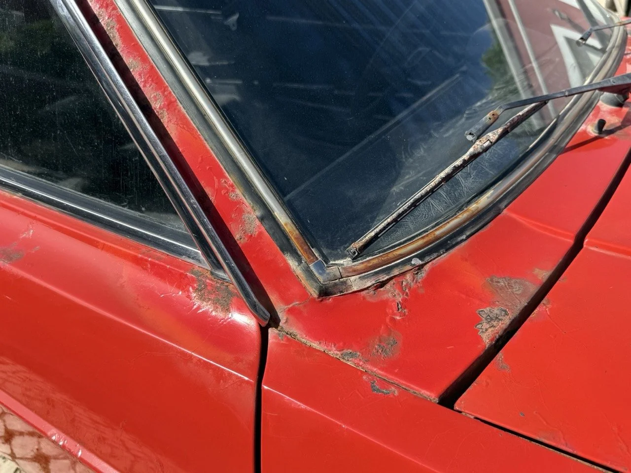 IMG_2345 – grande.jpeg