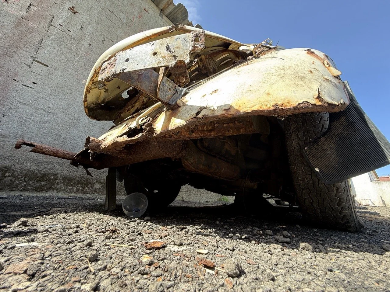 IMG_0650 – grande.jpeg