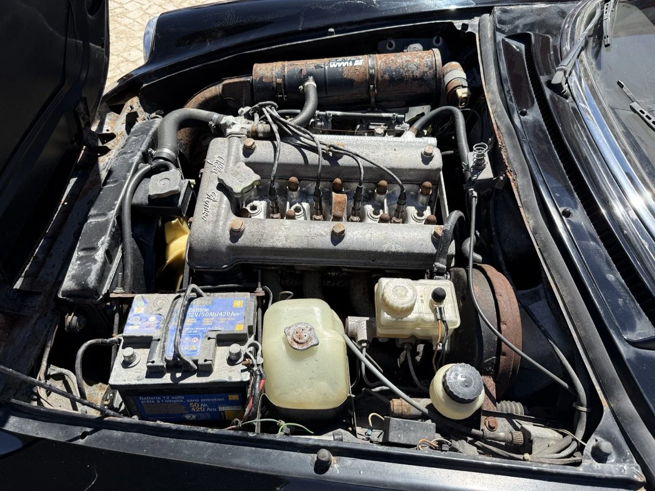 IMG_2153 – grande.jpeg