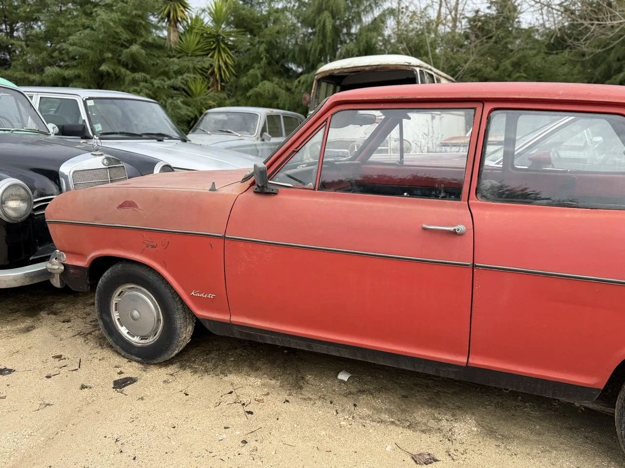 IMG_4959 – grande.jpeg