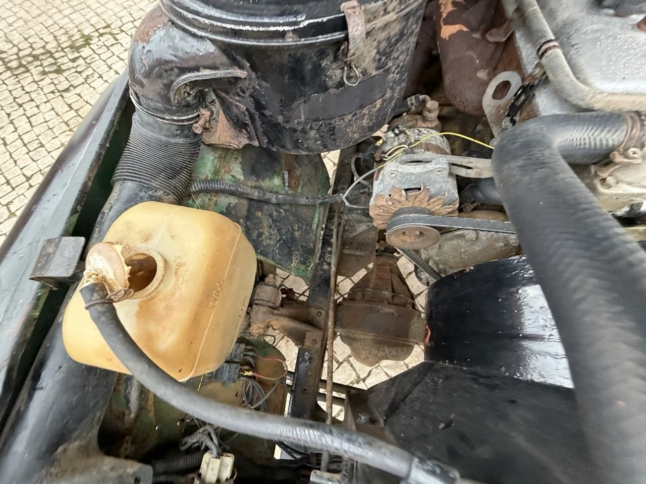 IMG_6481 – grande.jpeg