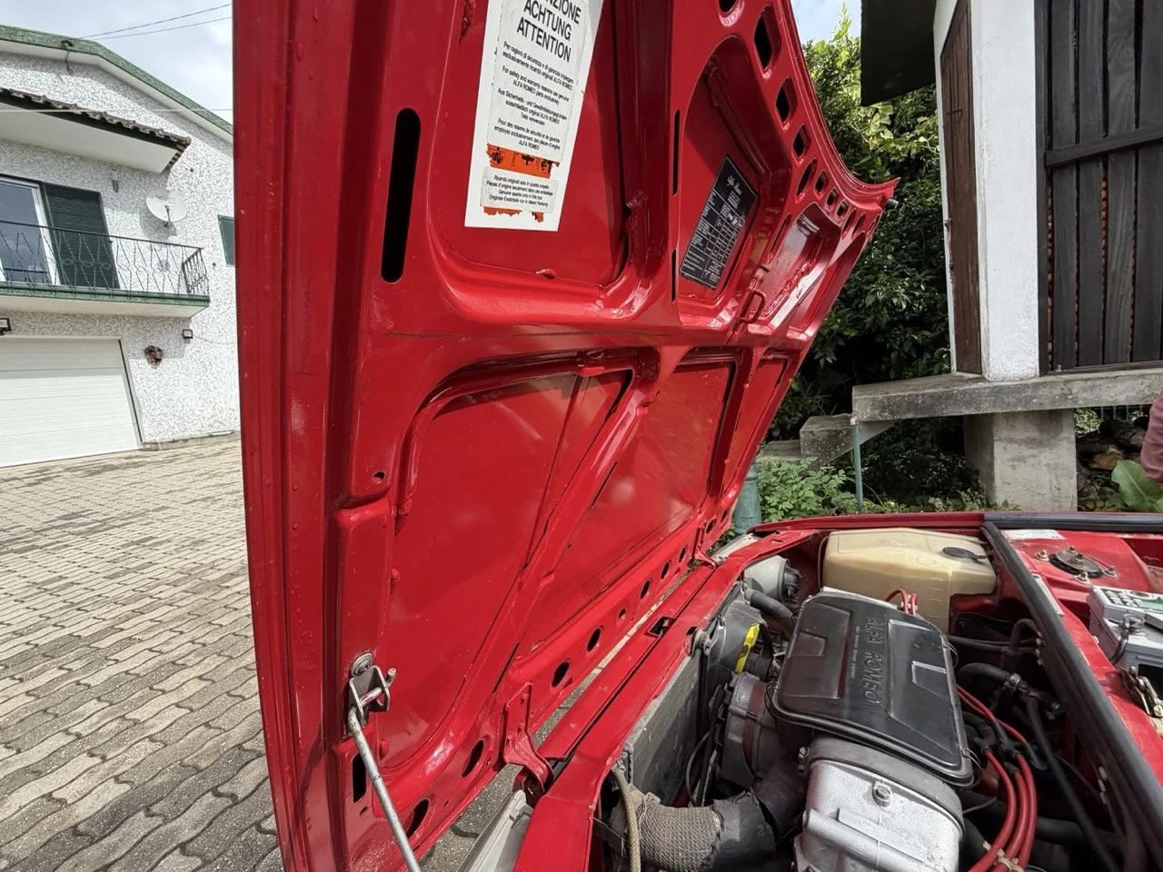 IMG_3254 – grande.jpeg