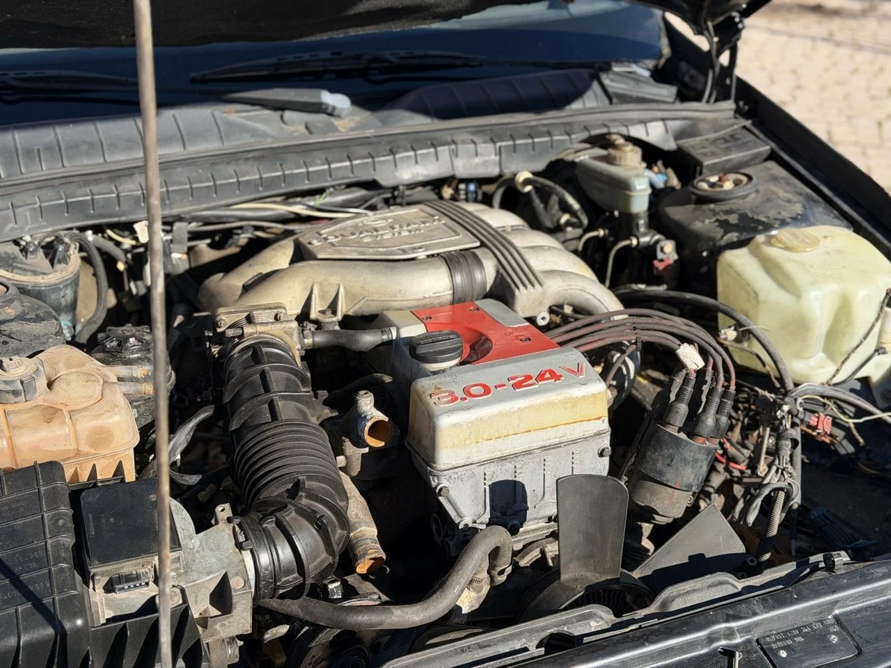 IMG_2748 – grande.jpeg