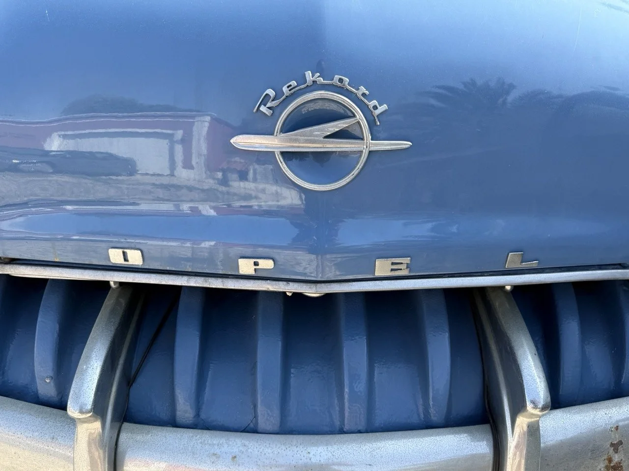 IMG_3577 – grande.jpeg