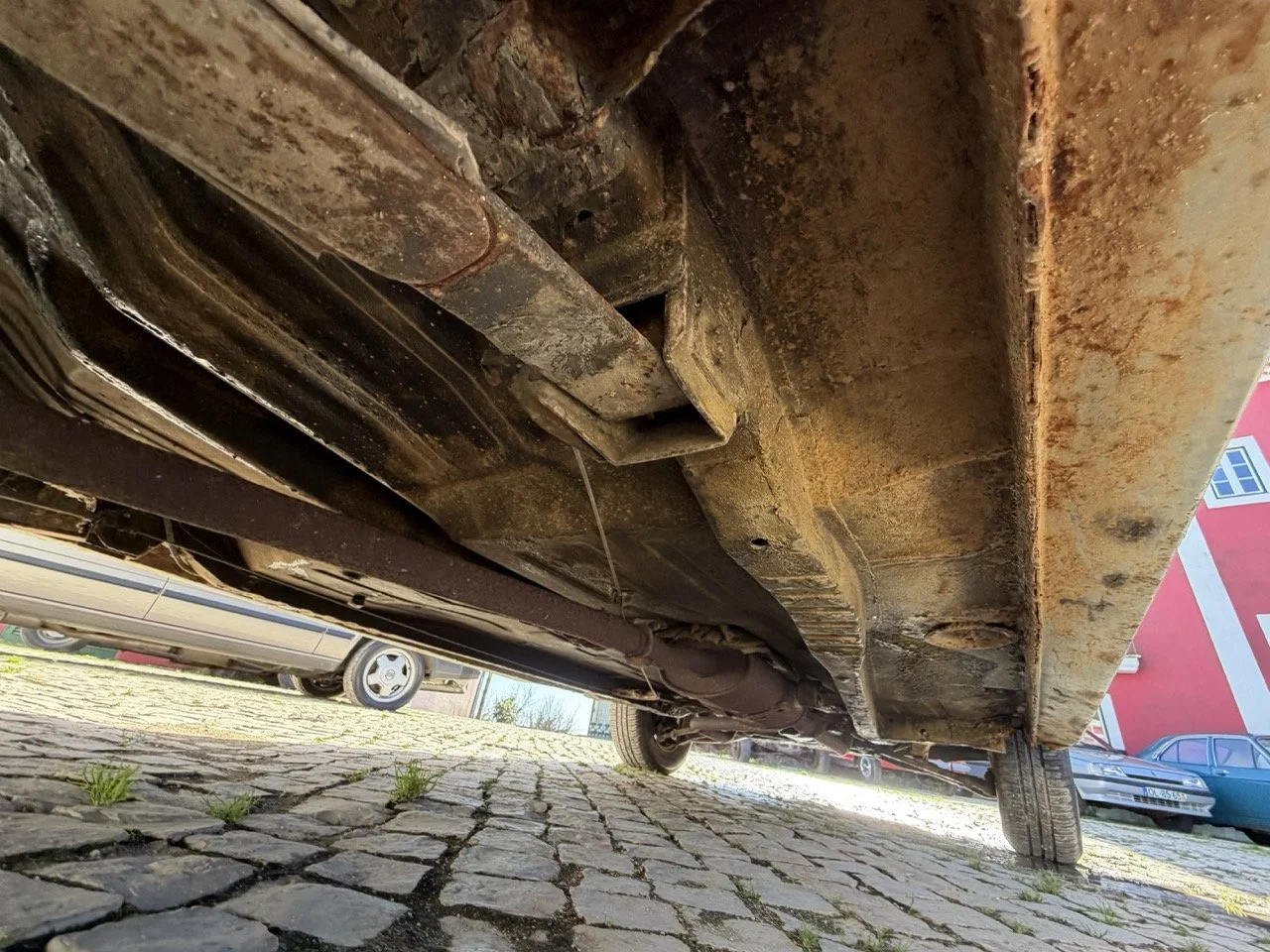 IMG_1897 – grande.jpeg