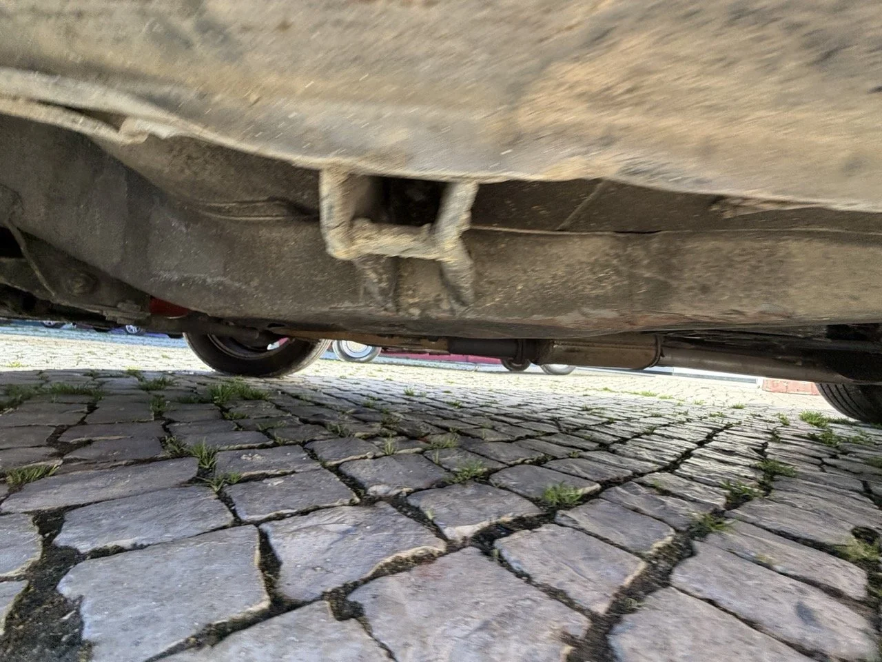 IMG_2056 – grande.jpeg