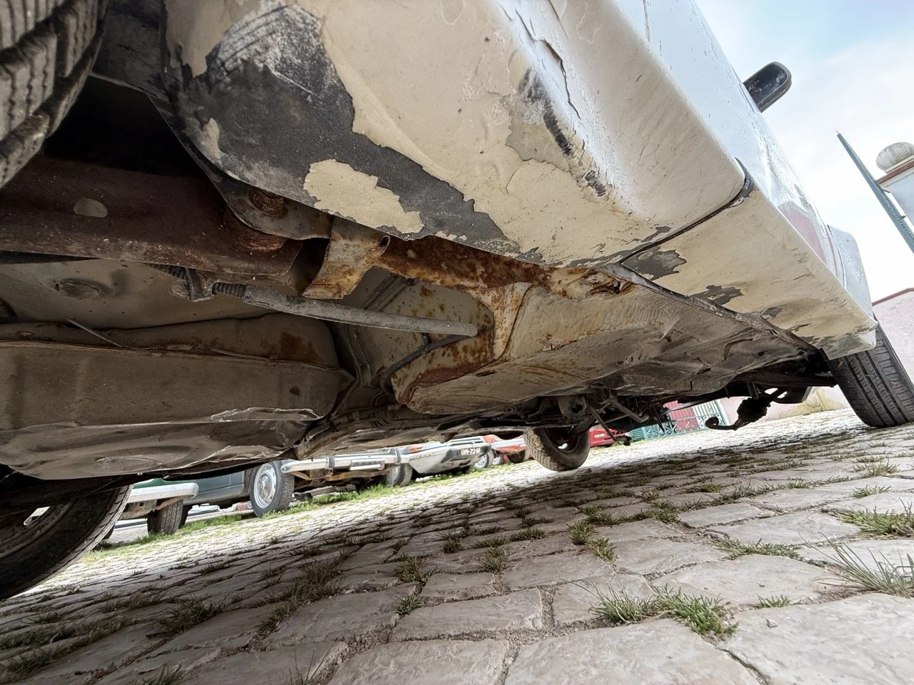 IMG_8640 – grande.jpeg