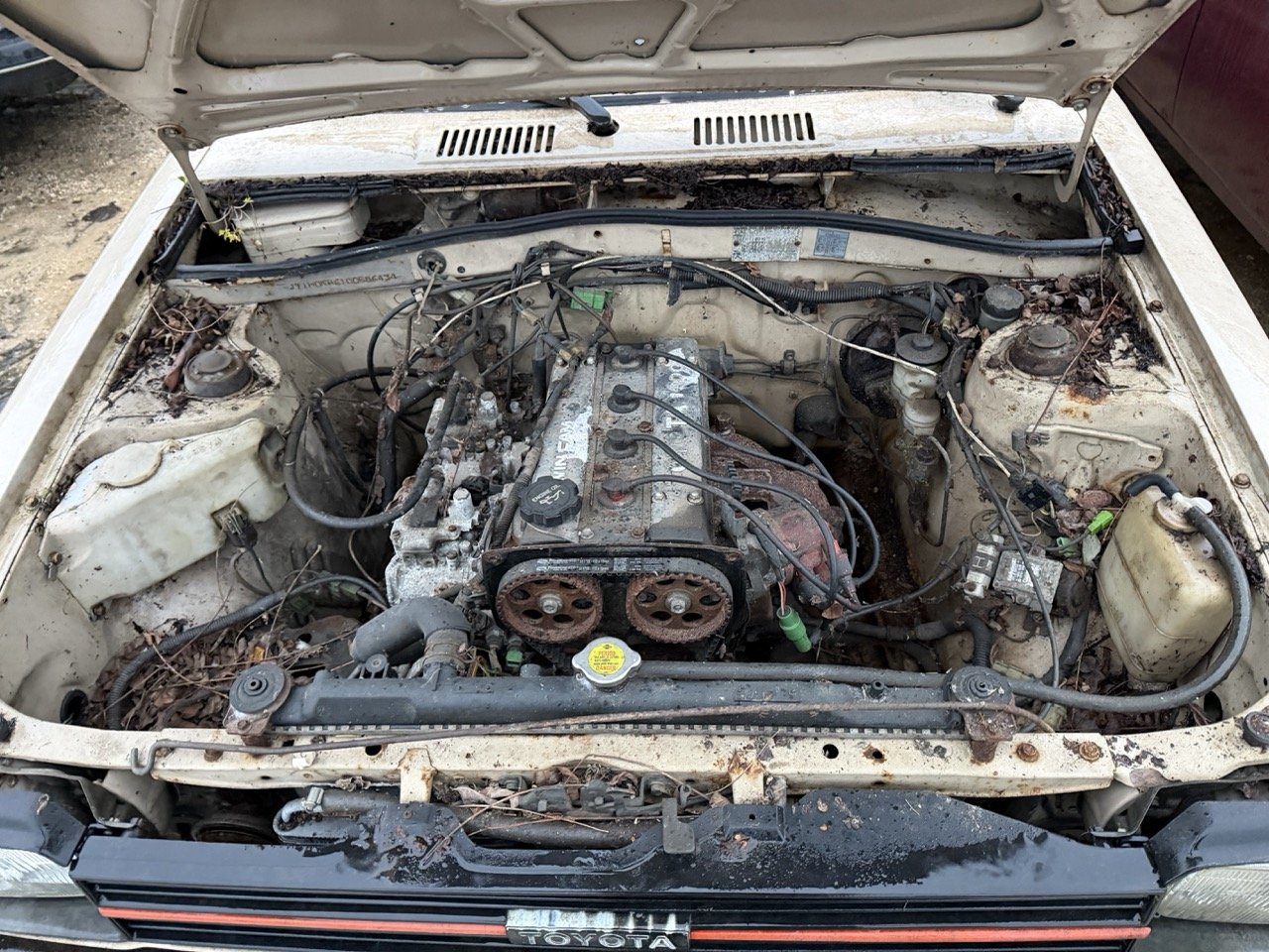 IMG_0240 – grande.jpeg