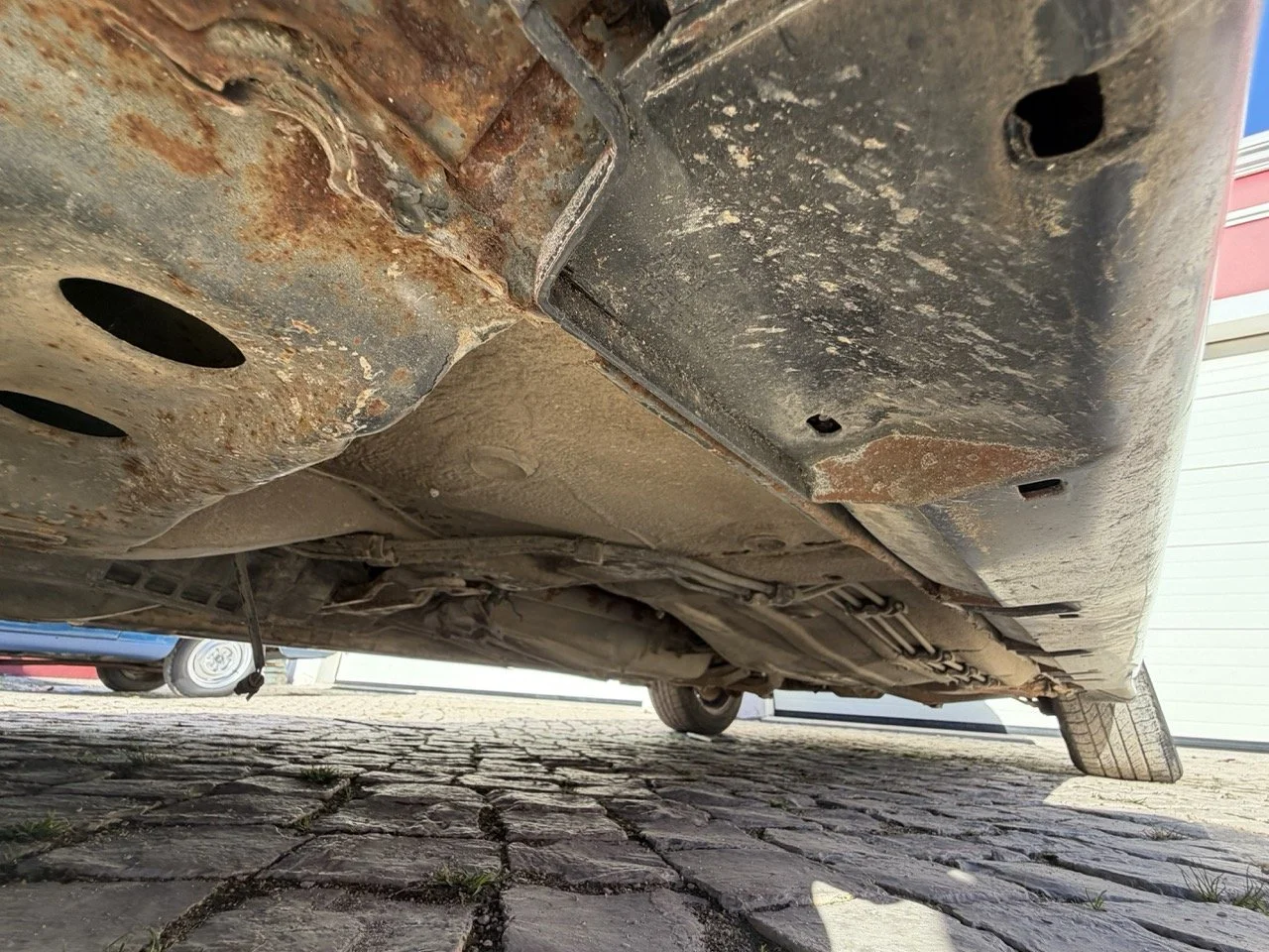 IMG_2815 – grande.jpeg