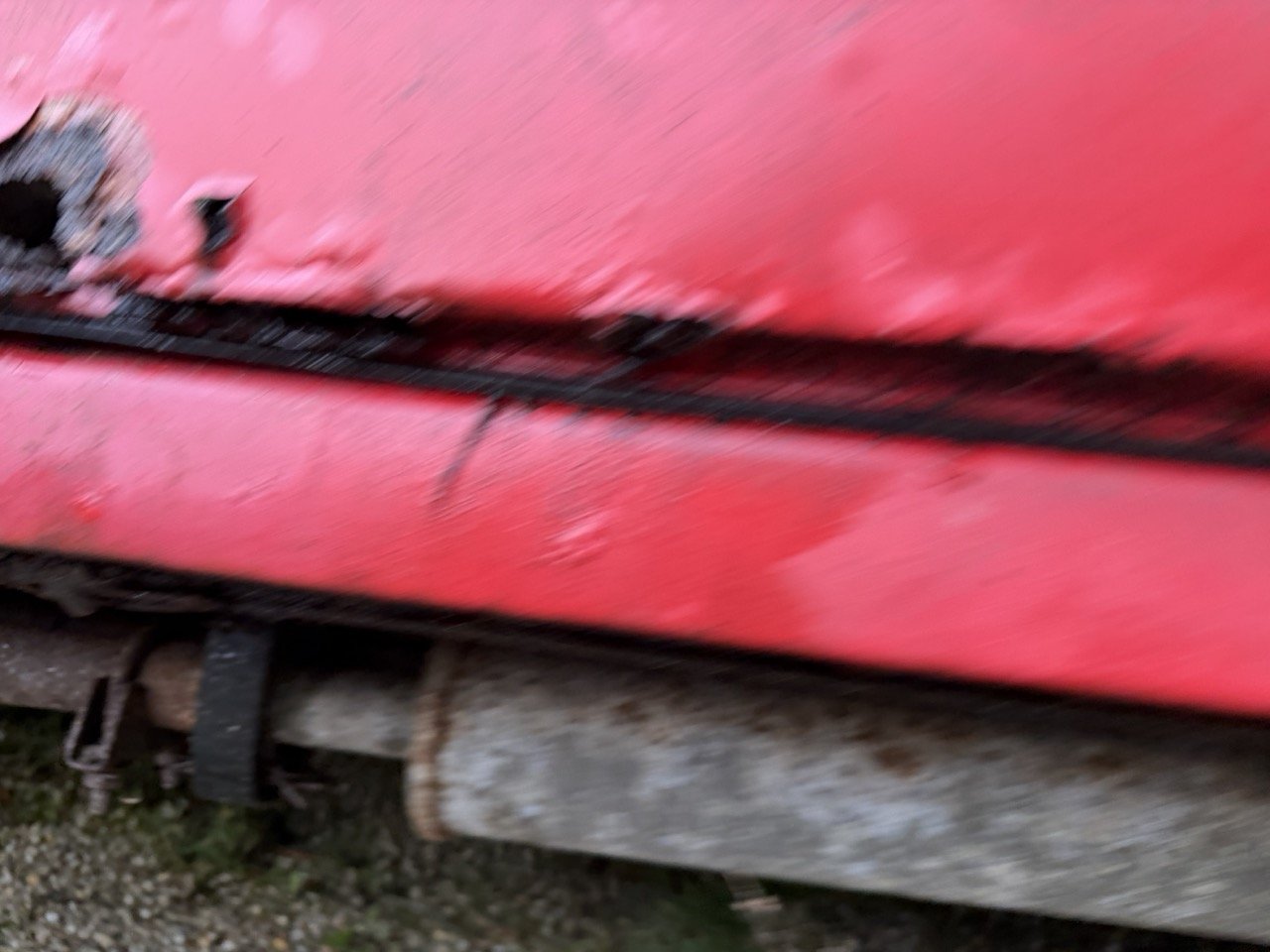 IMG_5511 – grande.jpeg