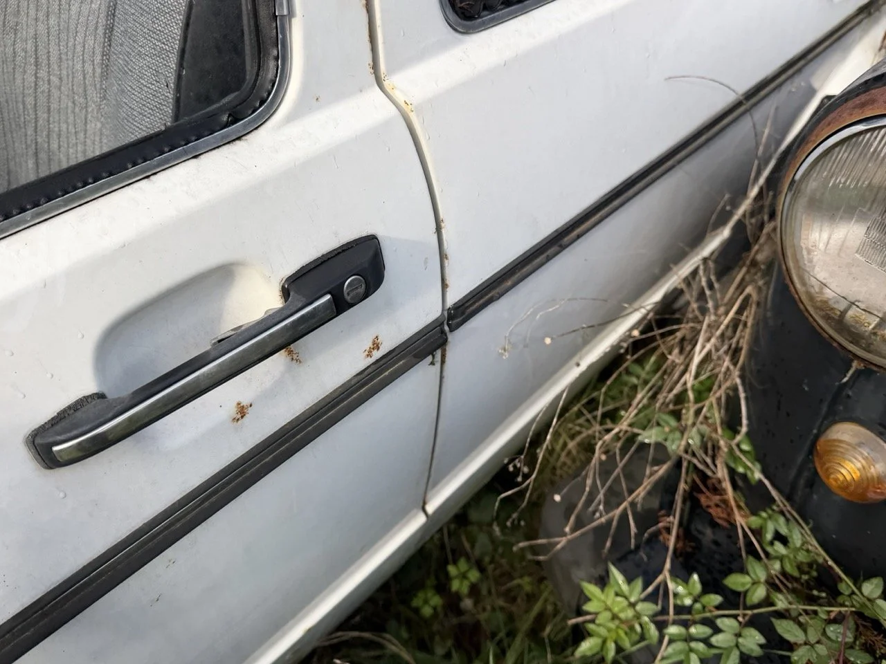 IMG_5181 – grande.jpeg