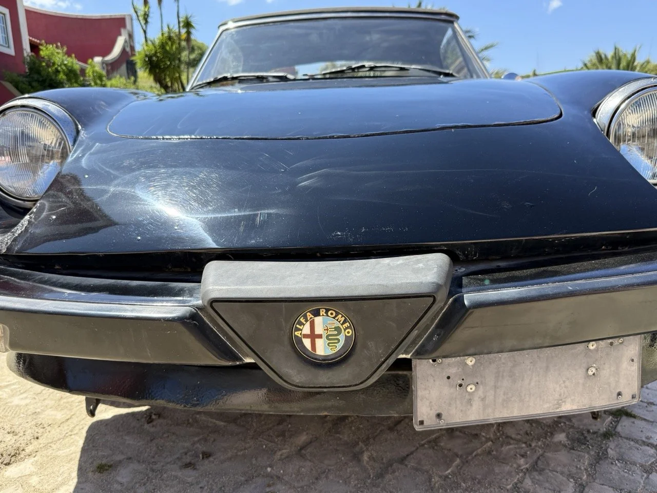 IMG_2201 – grande.jpeg