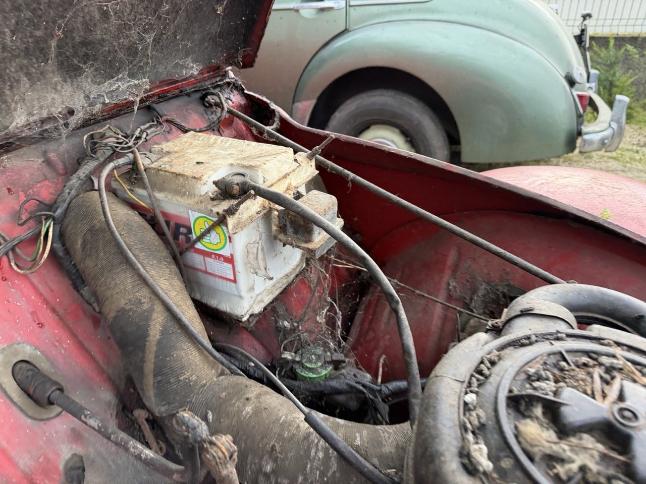 IMG_5526 – grande.jpeg