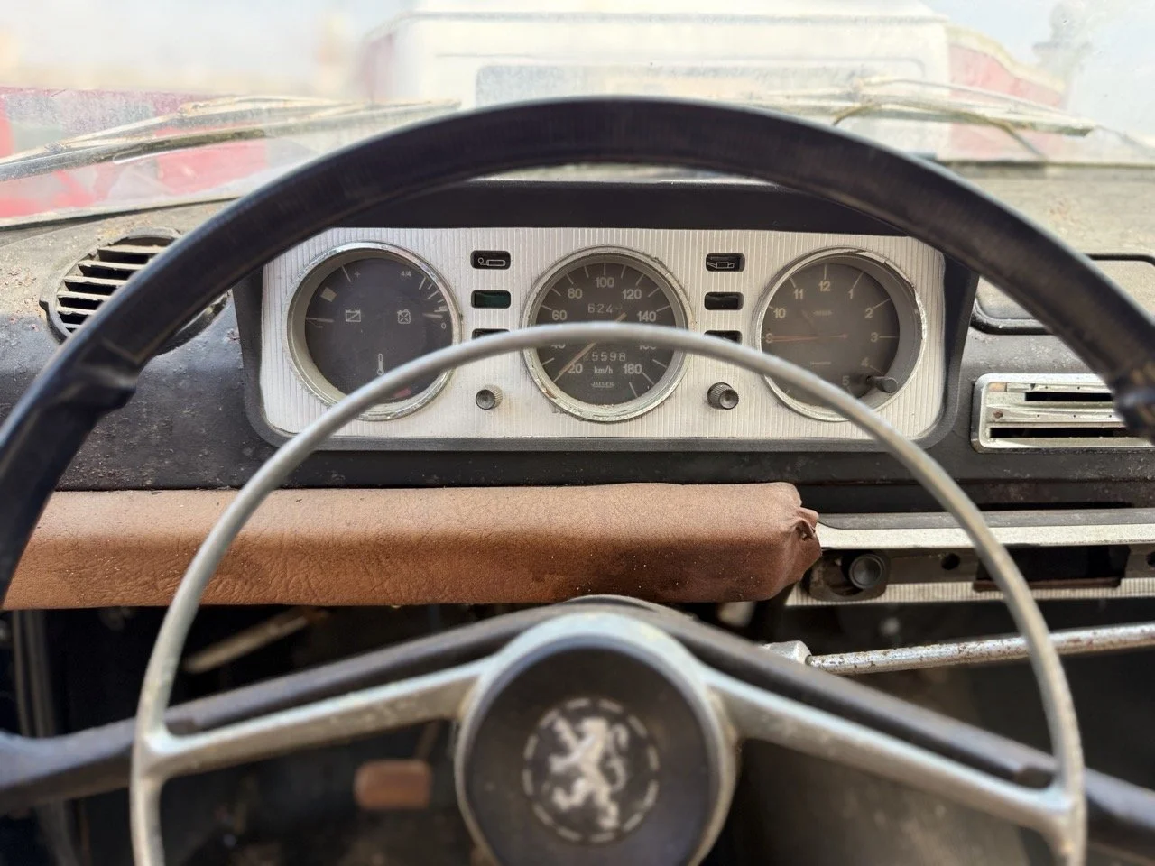 IMG_3466 – grande.jpeg