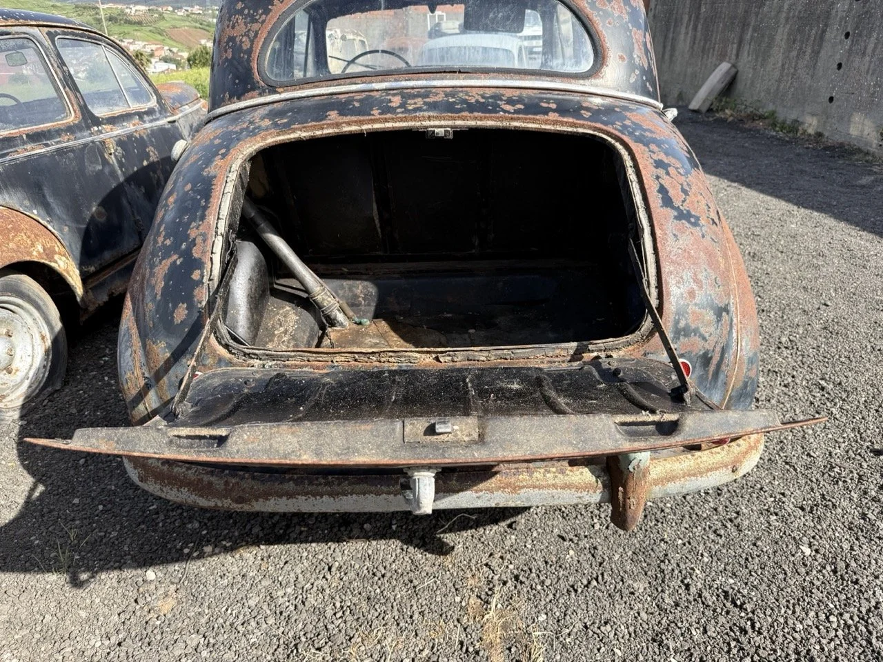 IMG_0469 – grande.jpeg